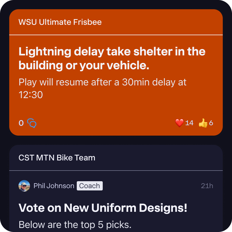 Hey app: a pinned coach post about a lightning delay stays visible above a newer team message